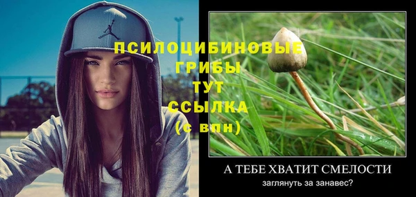 ПСИЛОЦИБИНОВЫЕ ГРИБЫ Алексин
