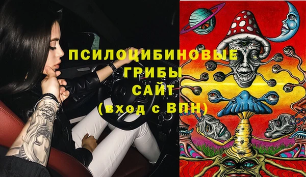ешки Абинск