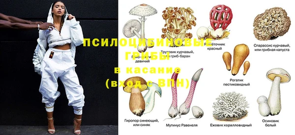 ПСИЛОЦИБИНОВЫЕ ГРИБЫ Алексин