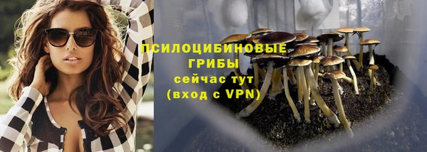 амф Алзамай